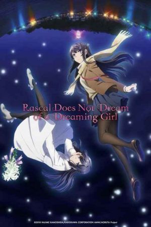 Rascal Does Not Dream of a Knapsack Kid