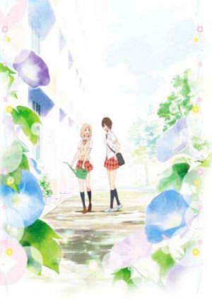 Kimi no Hikari Asagao to Kase san